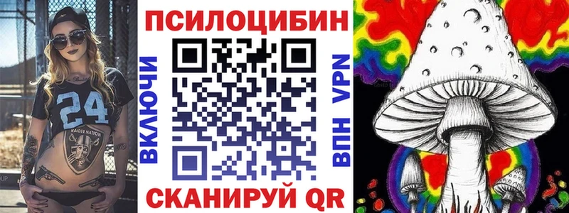 кракен как войти  Каменка  Псилоцибиновые грибы Magic Shrooms 